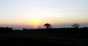 Sunrise at the Treetops Lodge, Kenya
